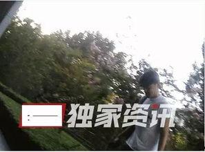 爆料胡歌约会视频,甜蜜瞬间引网友热议